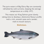 Big Glory Bay King salmon