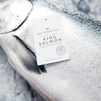 Big Glory Bay King salmon