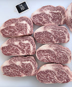 Stanbroke 全血純種M10和牛肉眼