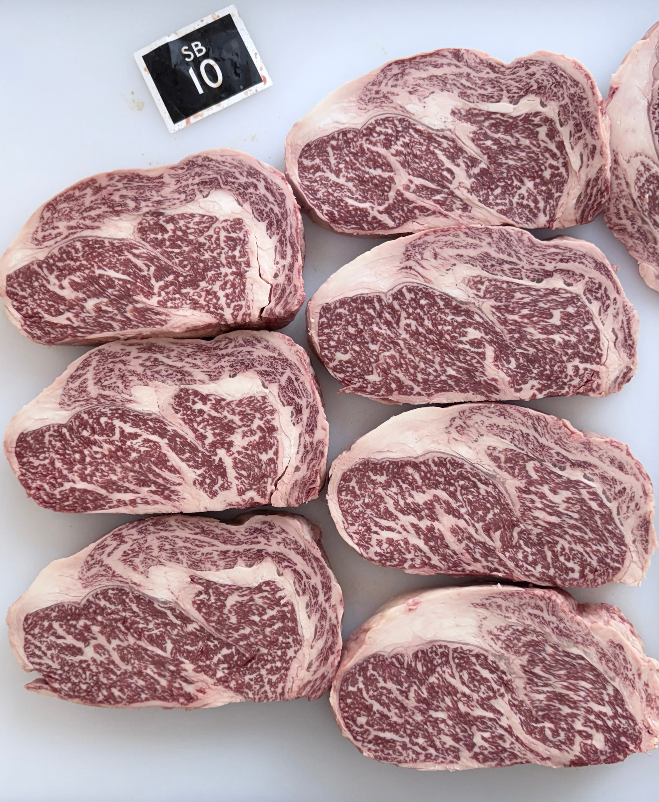 Stanbroke 全血純種M10和牛肉眼