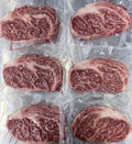 Stanbroke 全血純種M10和牛肉眼