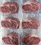 Stanbroke 全血純種M10和牛肉眼