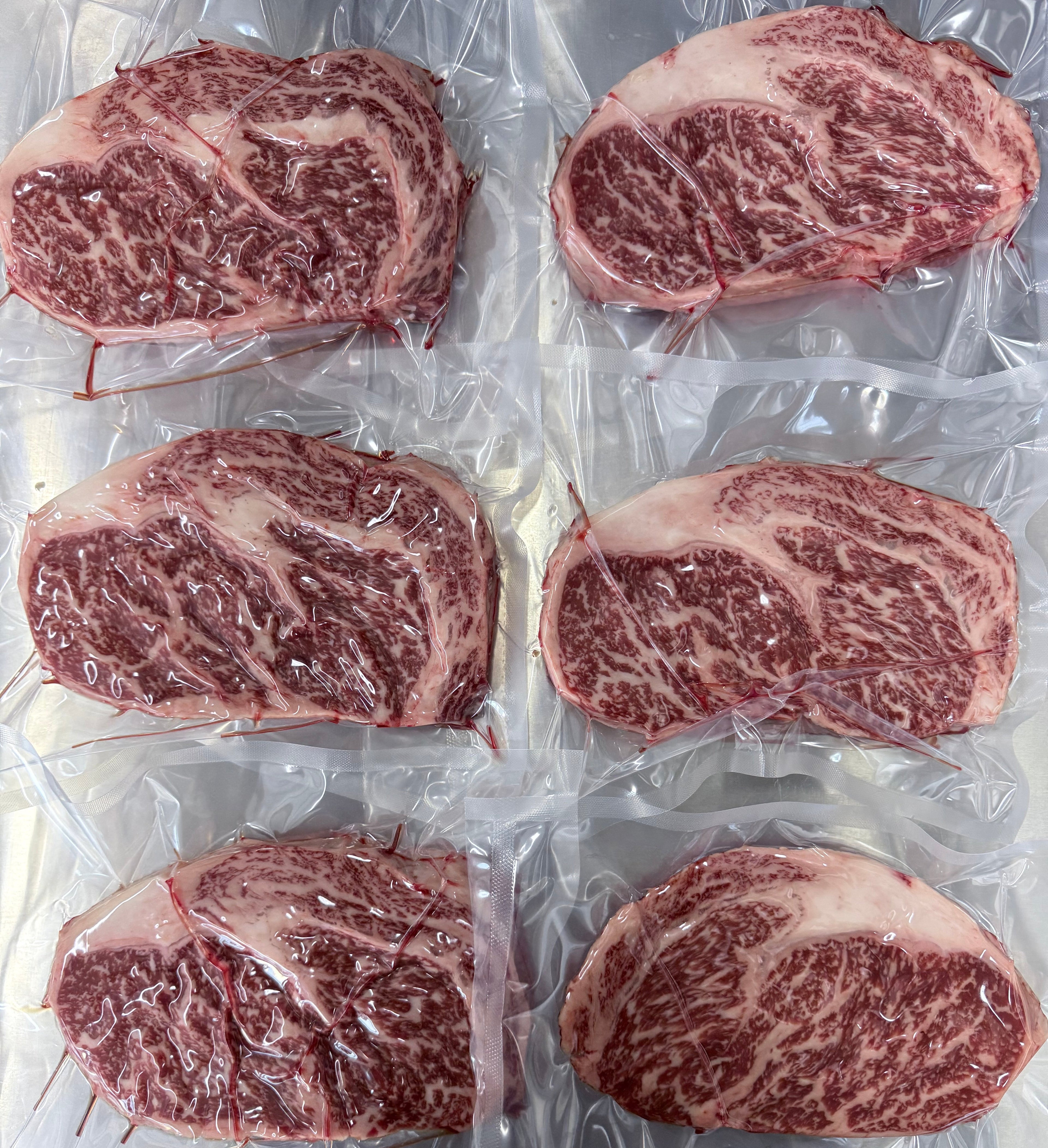 Stanbroke 全血純種M10和牛肉眼