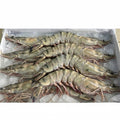 Vietnam Premium Head On Shell On (HOSO) Tiger Prawns (Semi-IQF)