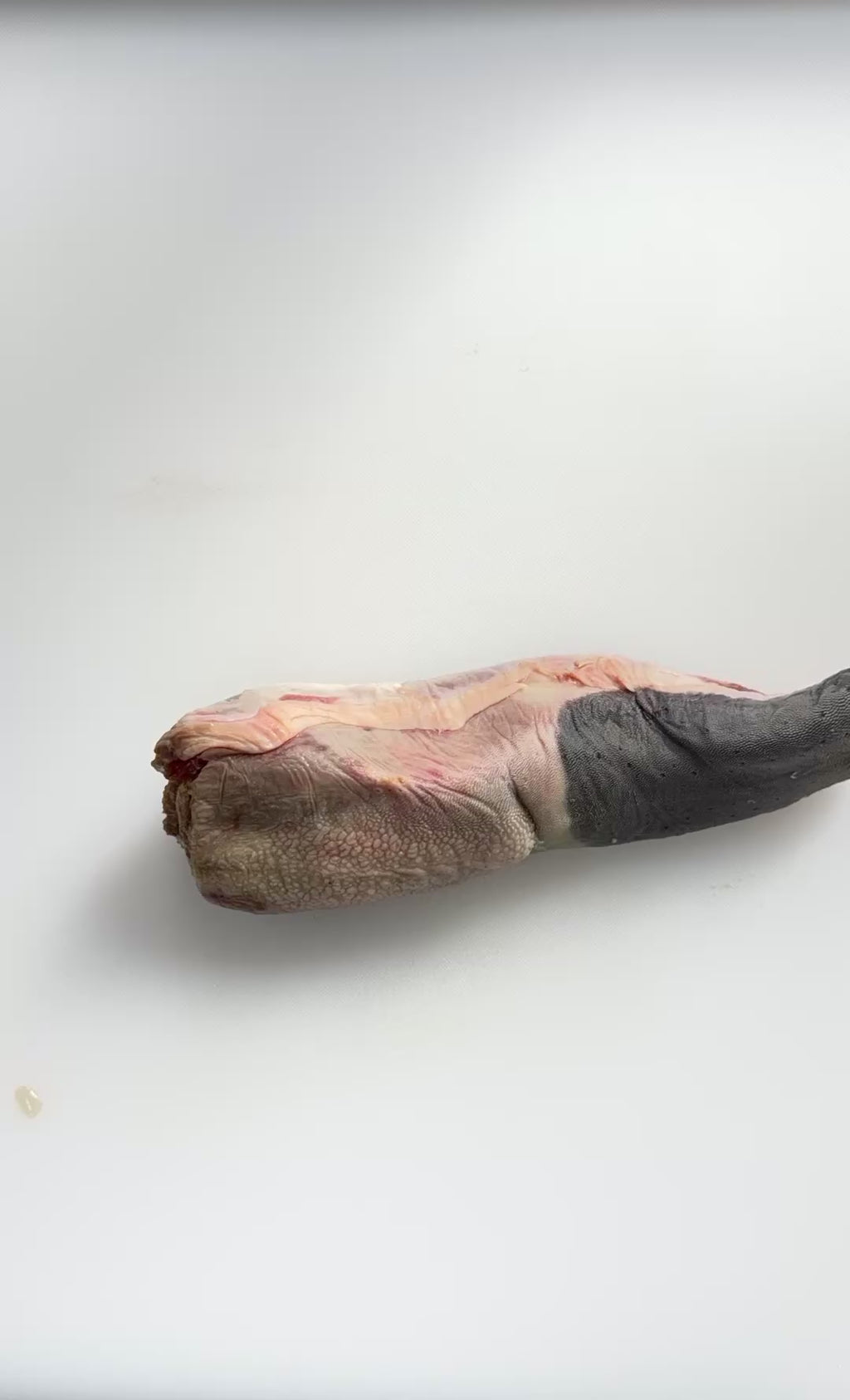 巴西牛舌